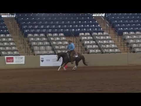 180520 OPEN Sam Schaffhauser on Little Brother Gun