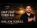 Chup Chap Turdi Aslam Iqbal Vol 2011