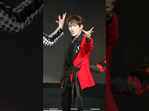 [1080P] 20190615 Beijing Rebuild [Li Wenhan Focus]