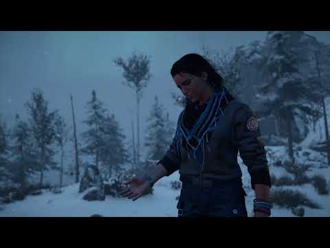 Assassin's Creed Valhalla #248