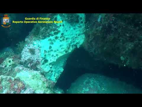 Pesca di frodo di datteri di mare: 19 misure cautelari