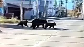 Re: [閒聊] zack發了「老了租不到房」的數字理論