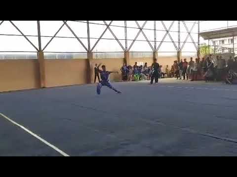 wushu chang quan compalsary pattern