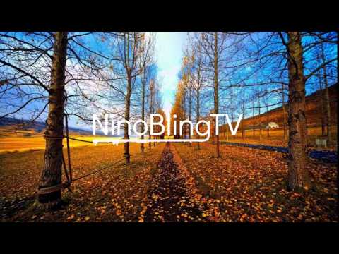 Leroy Styles VS Sunnery James & Ryan Marciano - Karusell (Nani Gomes Remix)