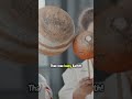 How Was Earth Created Fun Science For Kids Kidsshorts Funlearning Earth Space Spacefacts