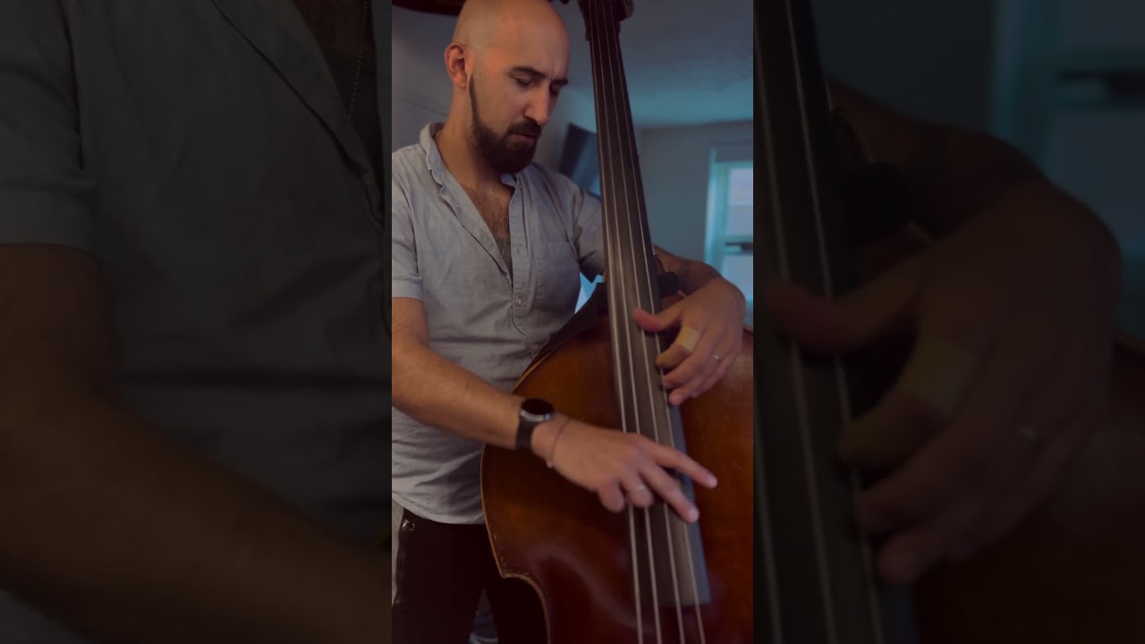 Promotional video thumbnail 5 for Pablo Lanouguere