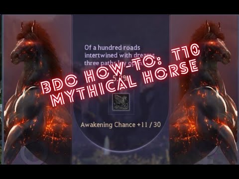 BDO How To create a tier 10 mythical horse