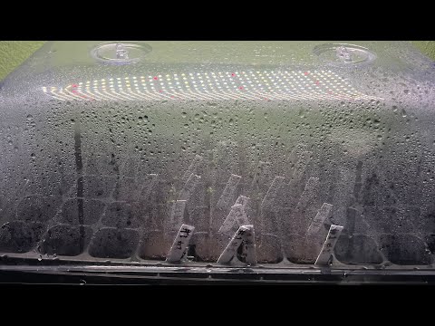 Indoor cannabis grow (SEEDLING STAGE)