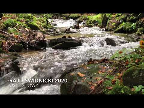 Rajd Świdnicki 2020 - OS Testowy