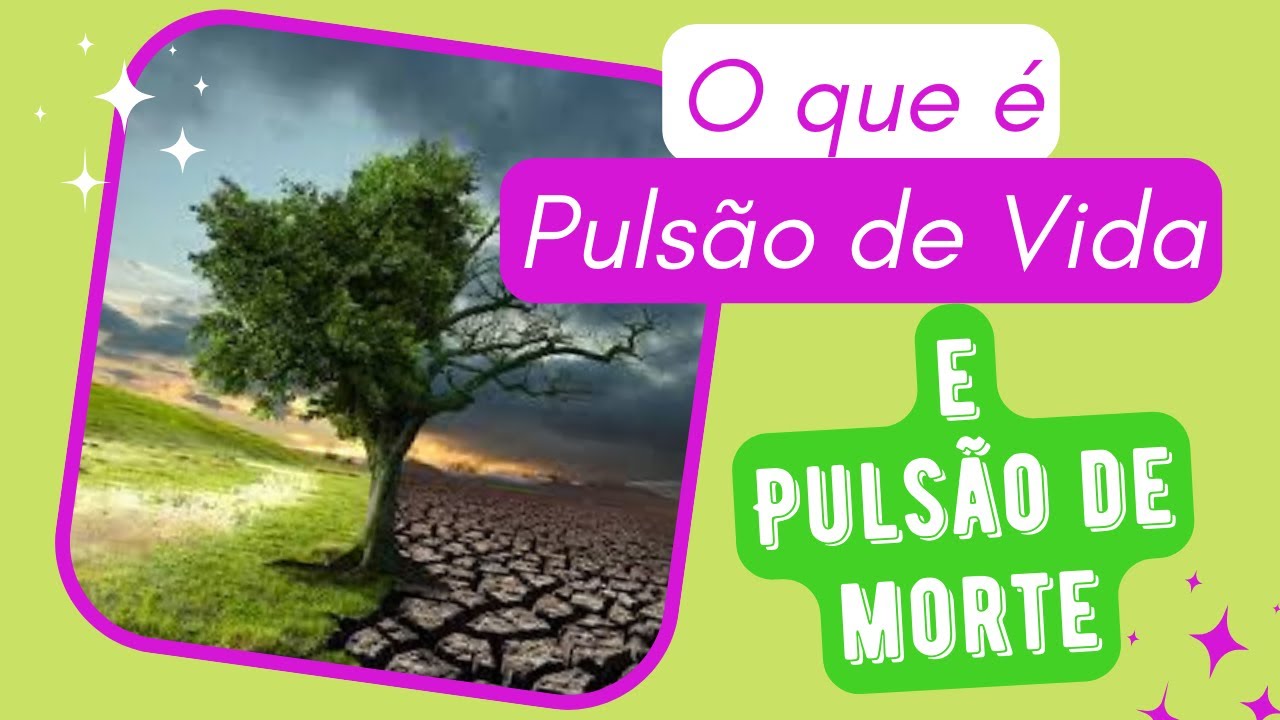 O que é Pulsão de Vida e Pulsão de Morte?