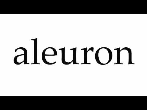 How to Pronounce aleuron