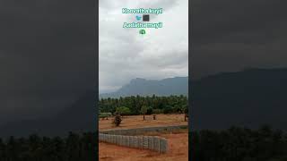 Download lagu #ilayarajahits #Samikitta solli vachu#melody #viral # mp3