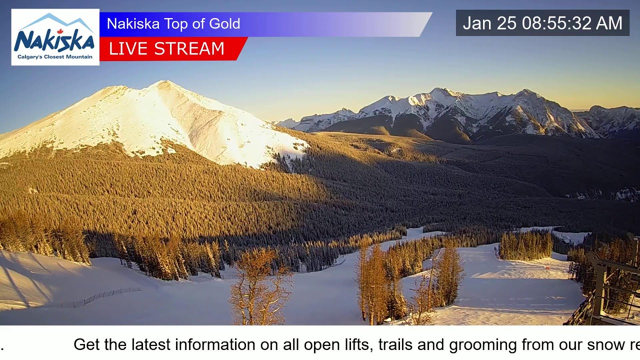 Top Gold Chair Express