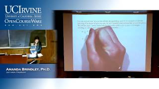 General Chemistry 1A. Lecture 04. Wavelengths.