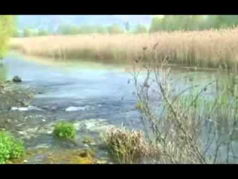 ONDA TG 15.05.2013 - GIORNATA OASI DEL WWF