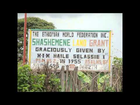 FRED LOCKS - NOT ONLY THE BLACK STAR LINER (BLACKHEART WARRIORS LABEL)