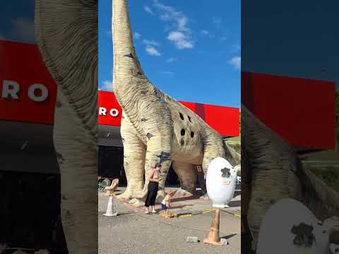 Parque das Tuias,  BR-386, Fontoura Xavier-RS. #trip #shorts #riograndedosul