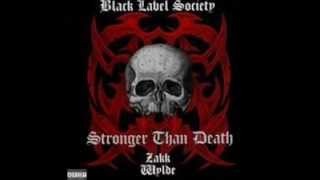 Zakk wylde - stronger than death