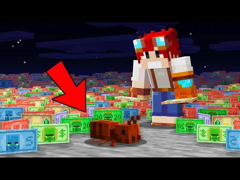 VOU FICAR RICO GRAÇAS ESSA FORMIGA - StonksCraft 2