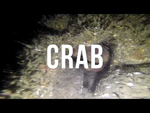 WA Scholten Dover 11th March 2018 32m