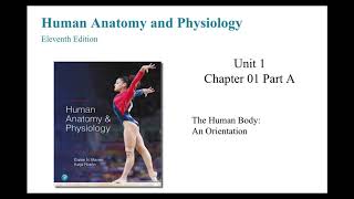 Anatomy and Physiology Chapter 1 The Human Body An Orientation Part A