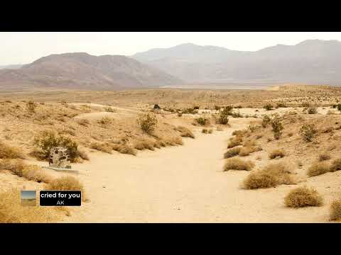 AK - cried for you