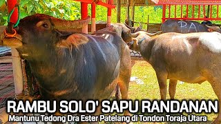 Download lagu MATUNU TEDONG TINGKAT SAPU RANDANAN DRA ESTER PATELANG DI TONDON TORAJA UTARA mp3