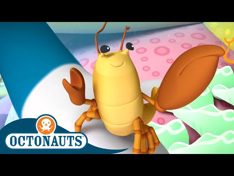 Snapping Shrimp and The Mixed-Up Whales