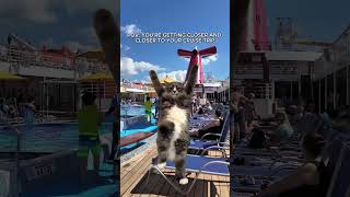 Am I the only one? #CruiseLife #Cruise