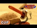 Oscar S Oasis Barbecue Ruined HQ Funny Cartoons