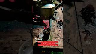Download lagu Angkringan Kopi Joss Pak Agus Jogja #streetfood #jajanan #angkringan #kopi #kopijoss #jogja #kuliner mp3