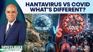 Hantavirus Outbreak Spreads to France, US; WHO Reacts | Spotlight | N18G