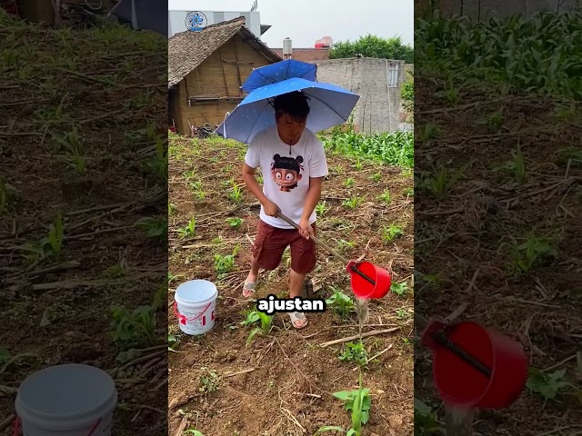 Vídeo relacionado con Portátil al Aire Libre, para el Senderismo | Orientación portátil, Ayuda educativa Multifuncional, pequeño Instrumento de navegación para Aventuras