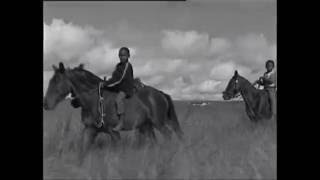 Were Gonna Make Our Dreams Come True: Tribute to Nelson Mandela