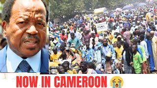 PAUL BIYA SUPPORTERS PROTEST IN CAMEROON NOW #paulbiya #issatchiroma #CAMEROONNEWS