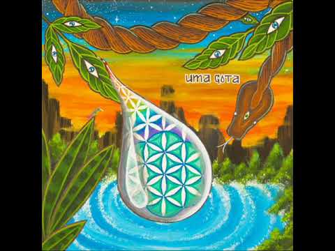 A Floresta encantada - Vibra Luz