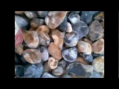 Let's go to the beach (with gabriel phelan)