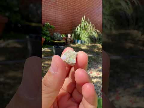 Opal Etiopian de Foc, brut, E47