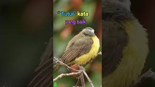 Download lagu STORY WA KEREN 30 DETIK ISLAMI TERBARU 2021 | TUTUR KATA #statuskeren #shorts mp3 Download lagu STORY WA KEREN 30 DETIK ISLAMI TERBARU 2021 | TUTUR KATA #statuskeren #shorts mp3