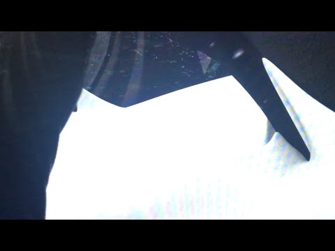 Animal Age (Approved) Part 18 Fox Chase/Final Boss