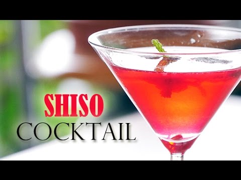 download lagu mp3 mp4 Shiso Syrup Cocktail, download lagu Shiso Syrup Cocktail gratis, unduh video klip Shiso Syrup Cocktail
