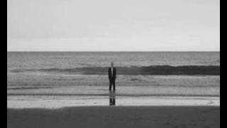 The Sound Of Animals Fighting -The Golden Boy