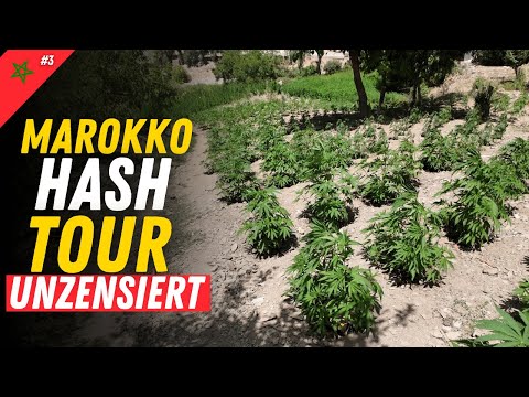 Marokko Rif-Gebirge Ketama