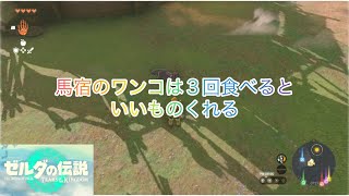馬宿のわんちゃんに癒される動画ロング編【#ゼルダの伝説ティアーズオブザキングダム 】