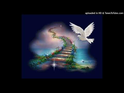 swampkill + frossy + icytwat + ethereal + smokkestaxkk type beat