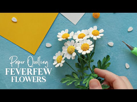 Paper Quilling Feverfew Flowers - Botanical Art - Paper Crafts