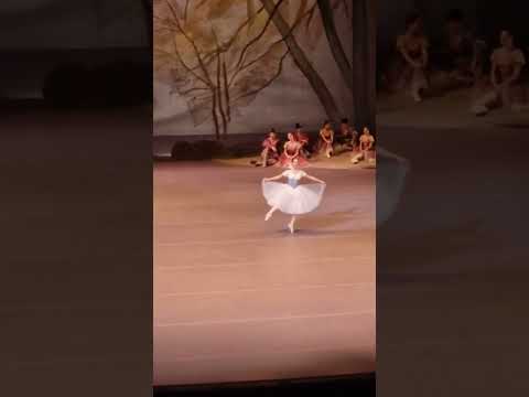 Eva Sergeenkova as Giselle, Bolshoi theatre 22.01.23 #bolshoiballet #bolshoitheatre #evasergeenkova