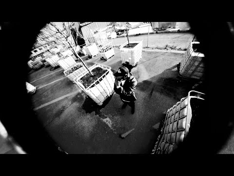 NOBODYPANICC X OYSTER - GODMODE