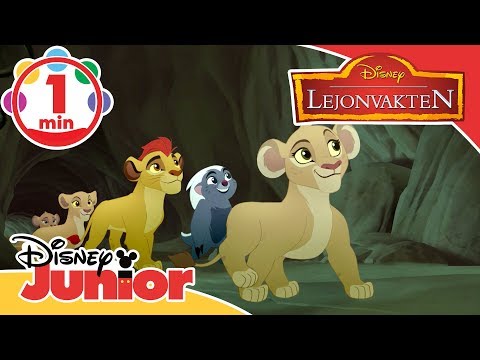 Lejonvakten | Musik från grottan! 🎼- Disney Junior Sverige