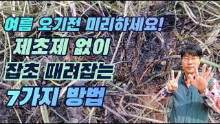 농약 없이 잡초 제거, 초보도 가능한 7가지 방법!